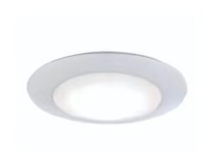 Ceiling Disk Light