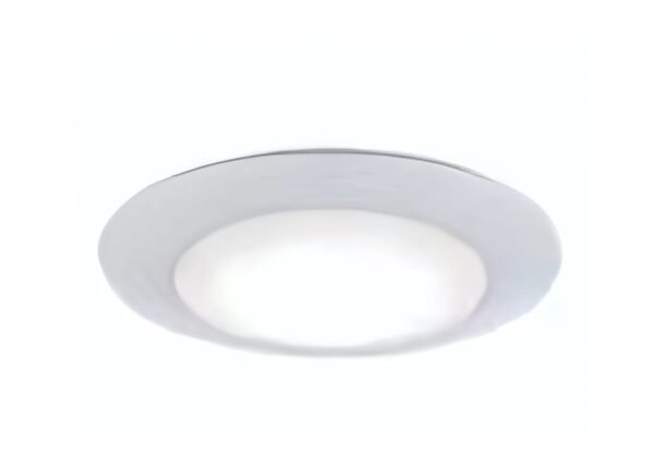 Ceiling Disk Light