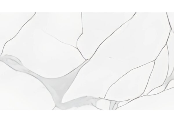 Calacatta Spider - Image 2